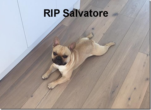 Salvatore1