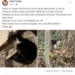 Burkunstadt: überfahrene Katze gefunden, leider seinen schweren Verletzungen erlegen.